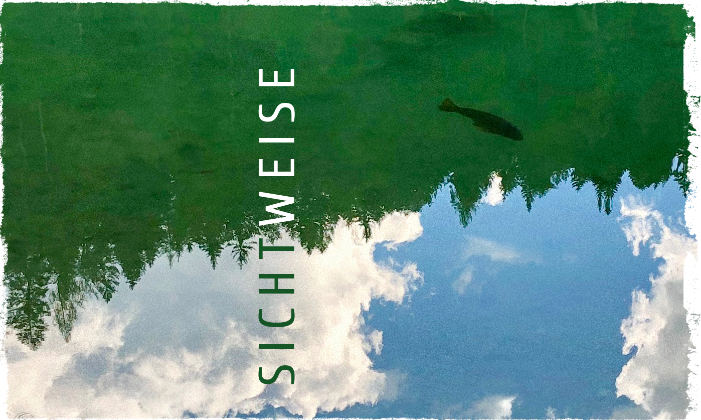 Spiegelung von Himmel und bewaldetem Ufer im Wasser, Silouhette eines Fisch